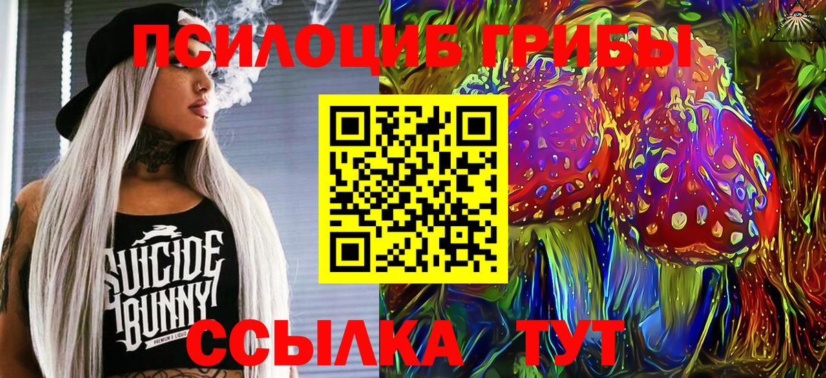 Торжок  Галлюциногенные грибы прущие грибы  Вход с VPN 
